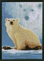 Janlynn Forewer Wild Polar Bear.jpg