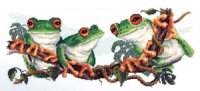 Green Frogs.jpg
