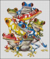 Colorfull Frogs.jpg
