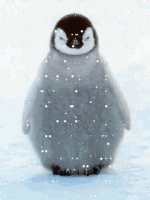 Pingvin.gif