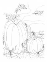 Thanksgiving_Pumpkins_Coloring_Page.png