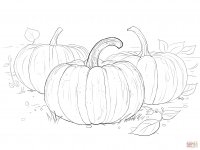 three-pumpkins-coloring-page.jpg