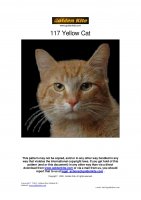 117 yellow cat-page-001.jpg