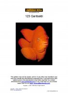 123 Garibaldi-page-001.jpg