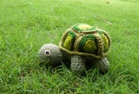 turtle_toy by KJ Hay.JPG