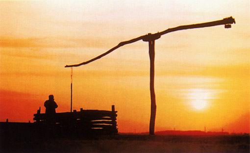 20050311_wasteland.jpg