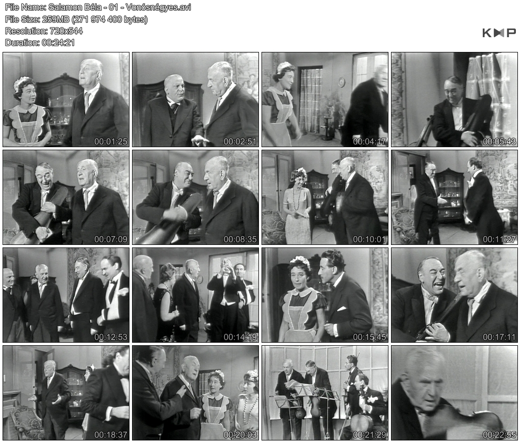 Salamon-B-la-01-Von-sn-gyes-filmt-rt-net.jpg