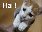 Meow_by_CriG_0.gif