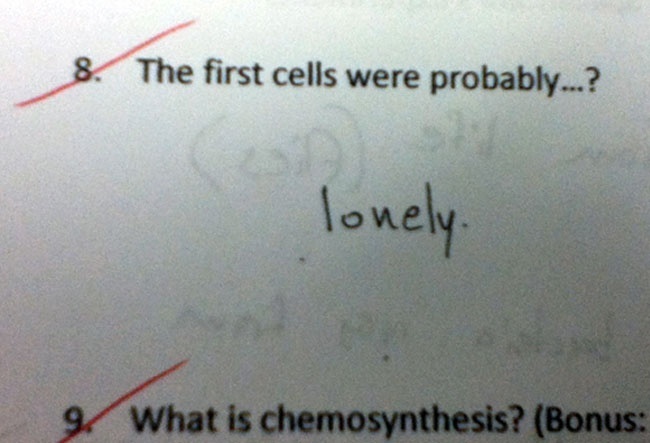 test-answers-that-are-totally-wrong-but-still-genius-5.jpg