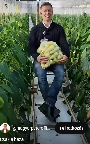 1772559549195.png