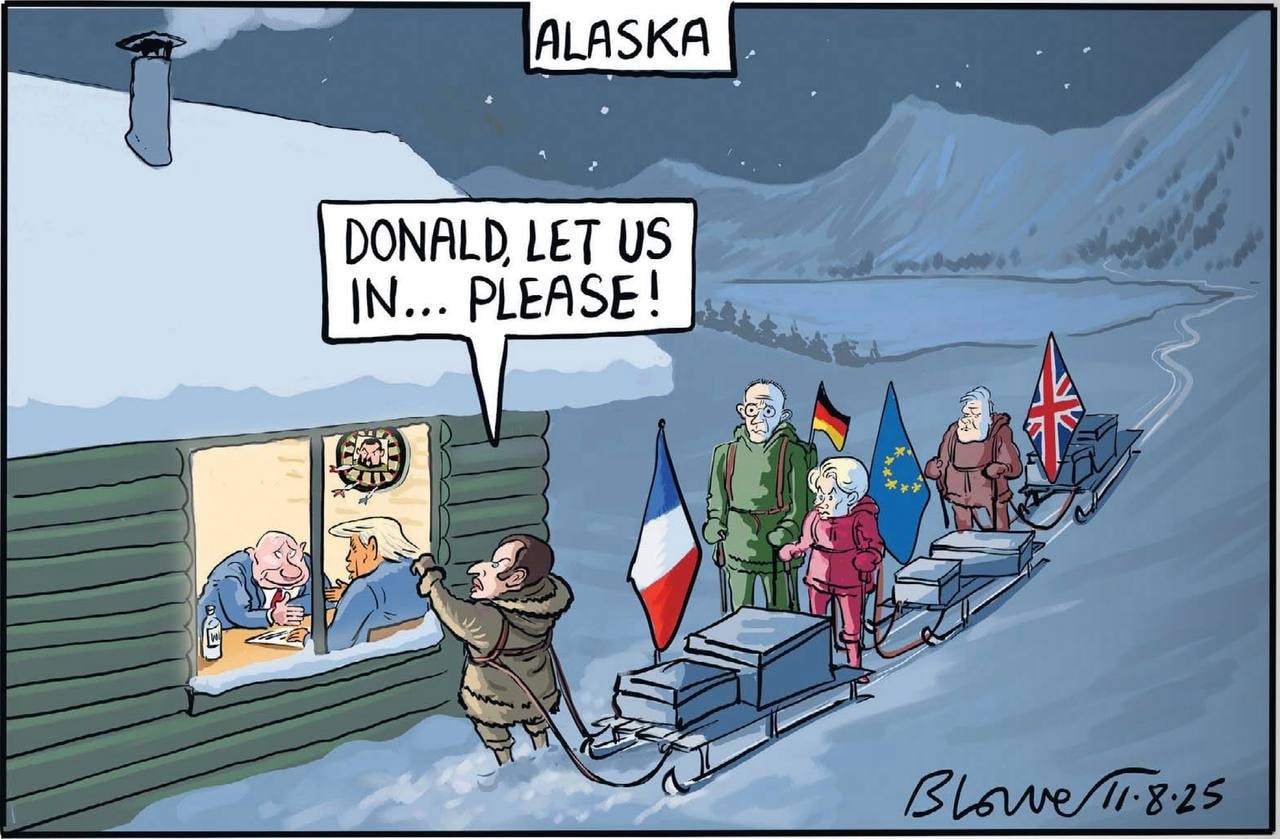alaskas.jpg