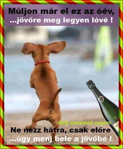 BUEK.jpg