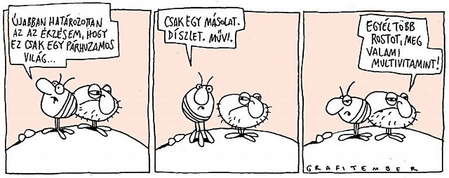 dodo.jpg