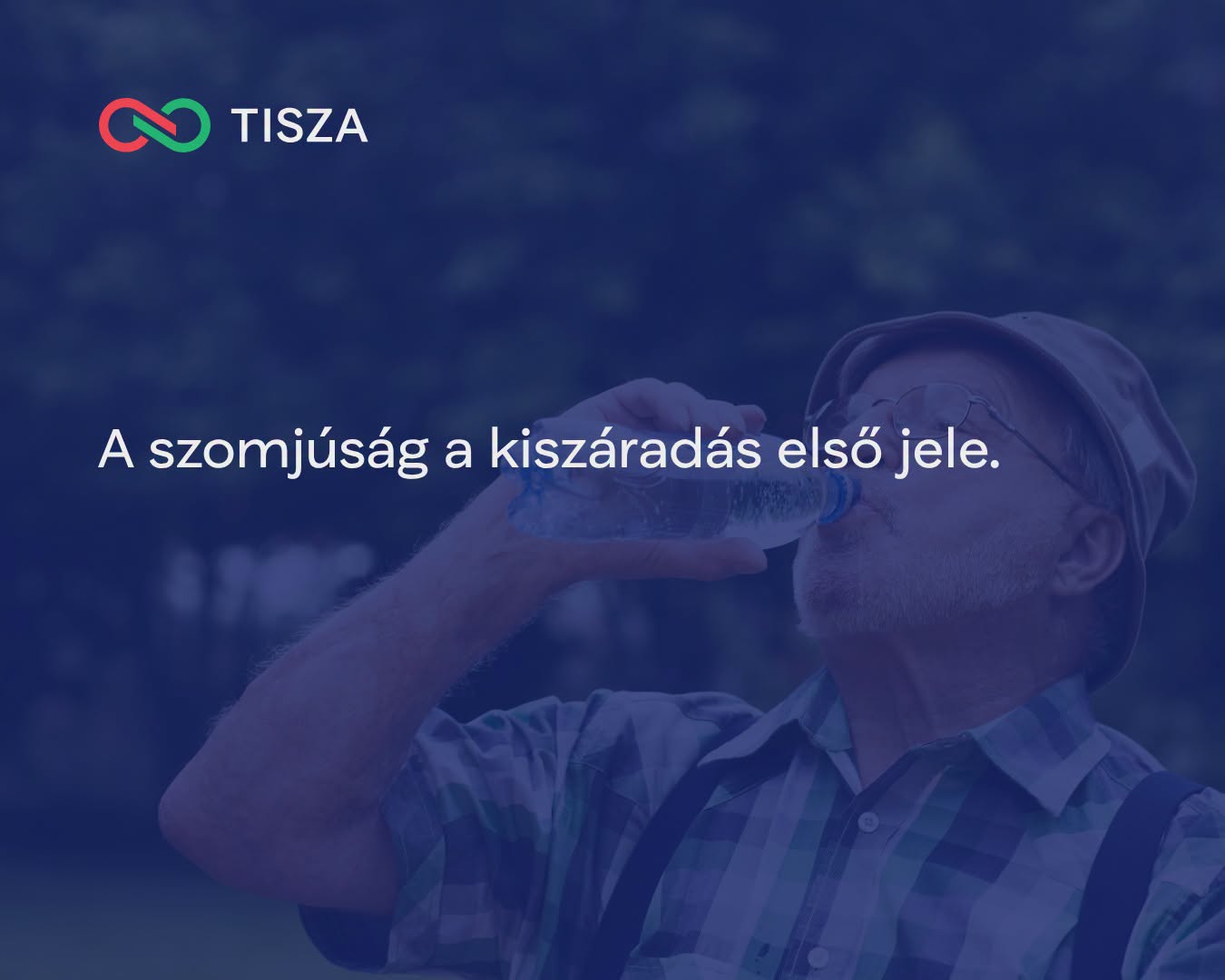 tisza.jpg