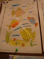 IMG_20200303_125613.jpg
