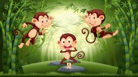 monkey-forest_1308-29543.jpg