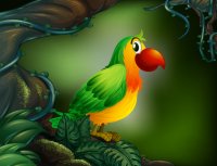 parrot-rain-forest_1308-35653.jpg