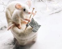 white mouse.jpg