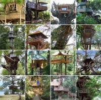 tree-houses.jpg