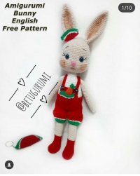 Betugurumi -  Watermelon Overalls Bunny.jpg