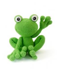 Kirk the frog.jpg