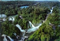 Amazon-Rainforest.jpg