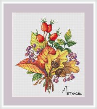 388341-6ac2f-103457422-m750x740-u45f60.jpg