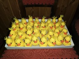 IMG_20220922_113243.jpg