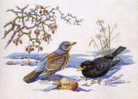 Eva Rosenstand 12-543  - Winter Birds.jpg