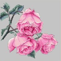 Rose Twig.jpg