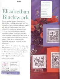 Elizabethan blackwork 01.jpg