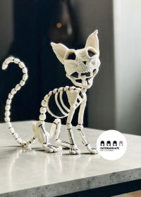 Fiber Figments - Bone kitty.png
