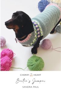 Sandra Paul - Berties Jumper Dog.jpg