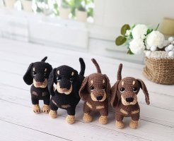 dachshund1.jpg