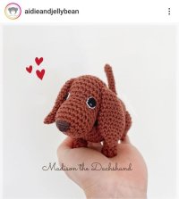 Miniature dachshund Madison - Jellybean eng.jpg