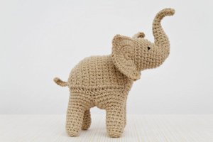 Elephant Trunk-Up.jpg