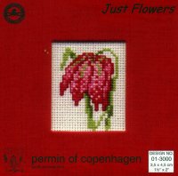 01-3000 Just Flowers - Tulip FOTO.JPG