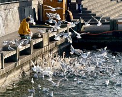 IMG_2131-2.jpg