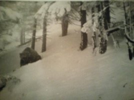 Macko a nagy hoban_1988 januar vege.jpg