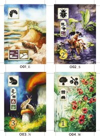 meadow_envelop_o_Page_1.jpg