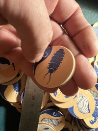 IMG_7683.jpeg