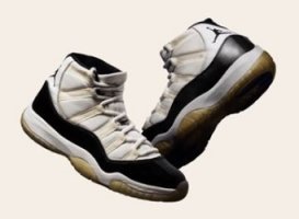 air_jordan11.JPG