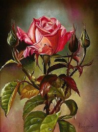 Rózsa.Hafiz Sultan Arts.jpg