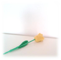 Tulip.png