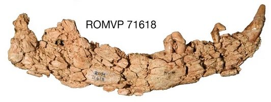 71618.JPG