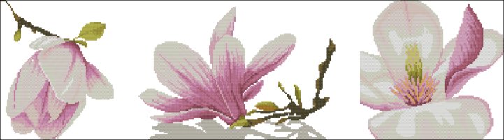 triptych magnolia.jpg