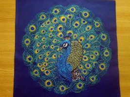 1000004096.jpg