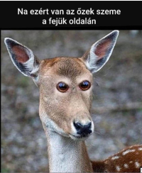 1757262795762.png