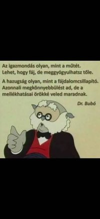 images (1).jpeg