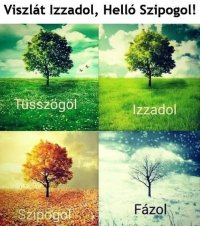 aktuális-ősöreg-mém-v0-rwoc9m5dlxqf1_edit_539061030739098.jpg